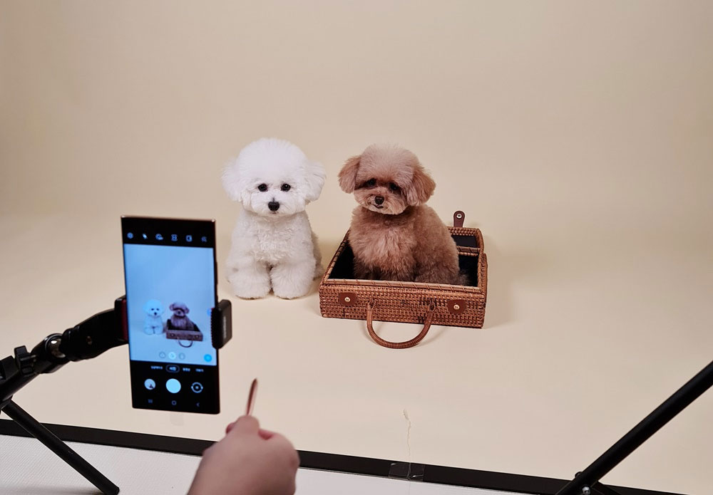 7 Photo Tips To Show Off Your Pet’s Best Side With Your Samsung Galaxy