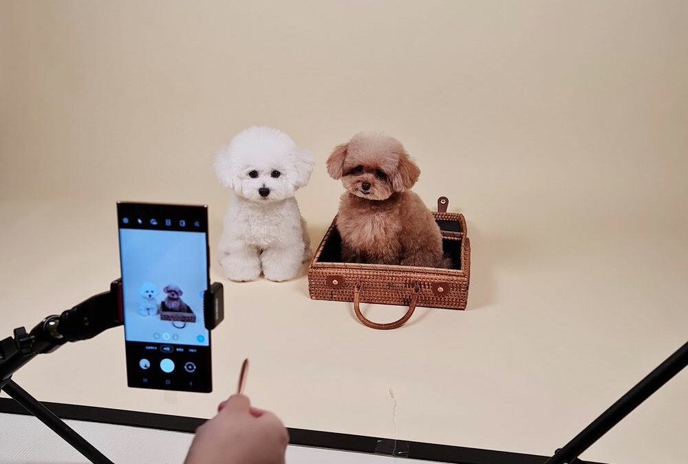 7 Photo Tips To Show Off Your Pet’s Best Side With Your Samsung Galaxy