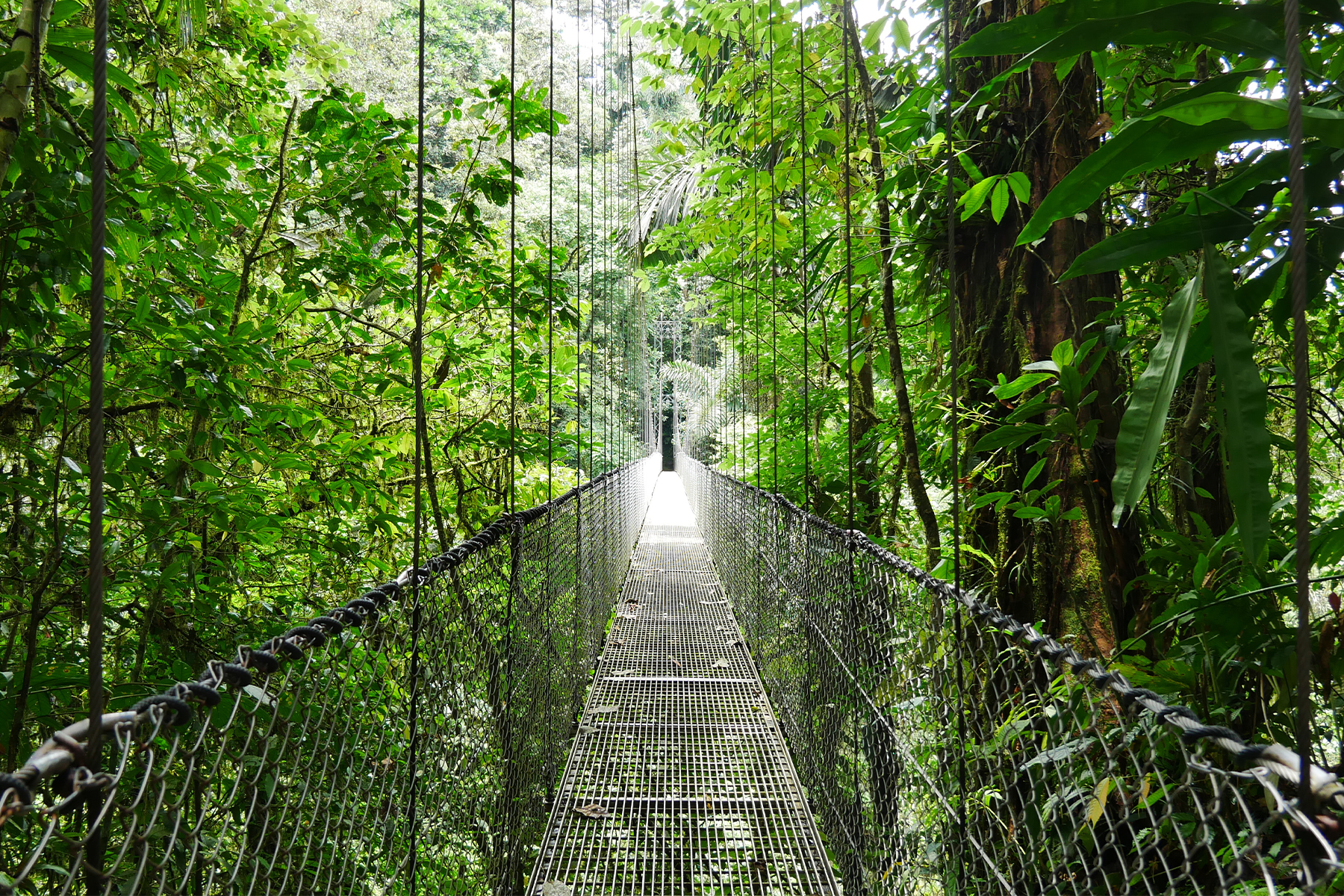 Arenal Volcano and Manuel Antonio, Costa Rica