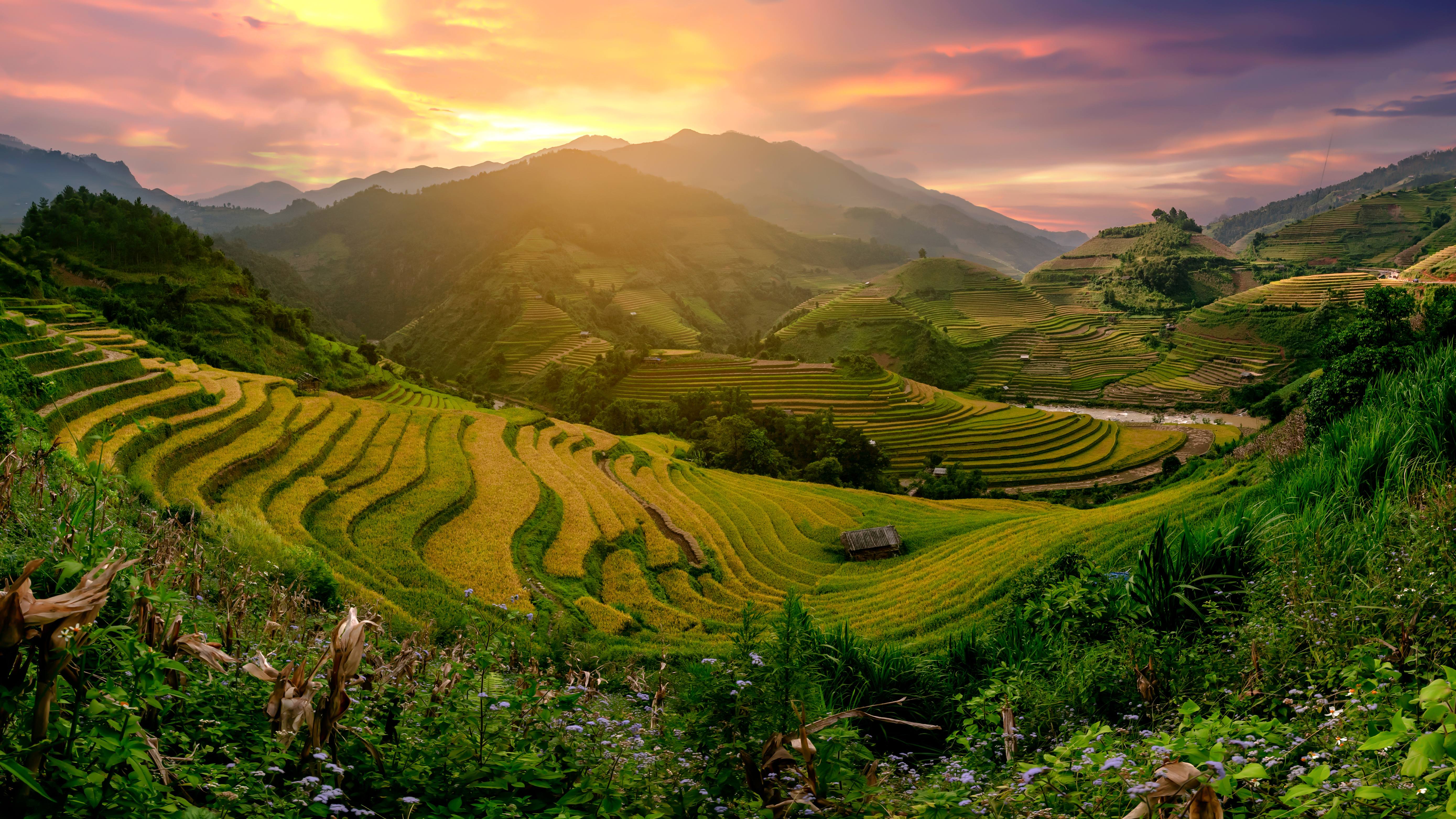 Terraced rice fields of Sapa, Vietnam