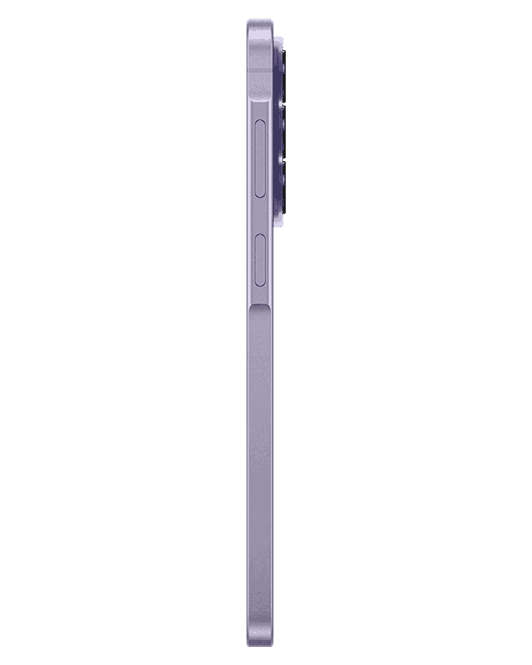 Awesome Lilac