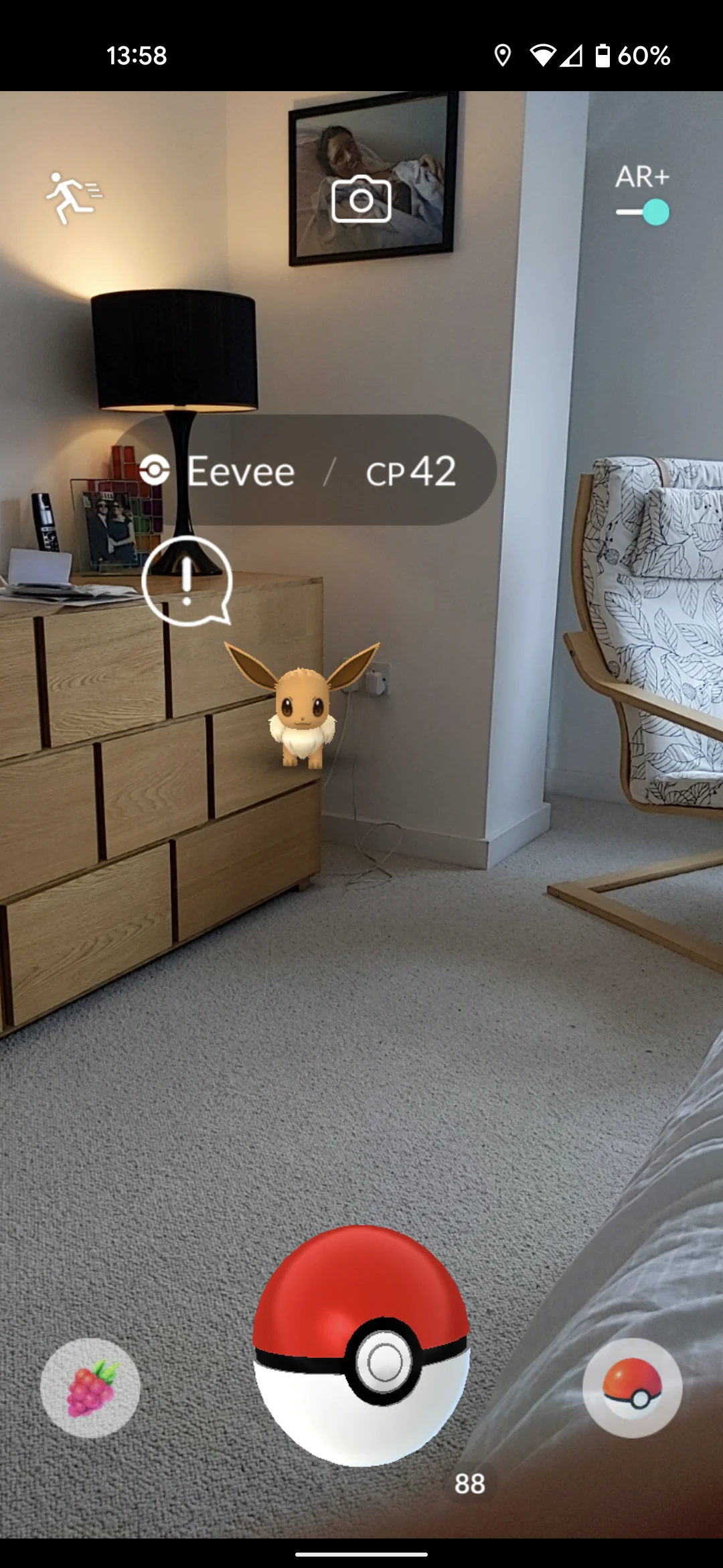 Pok&eacute;mon GO view