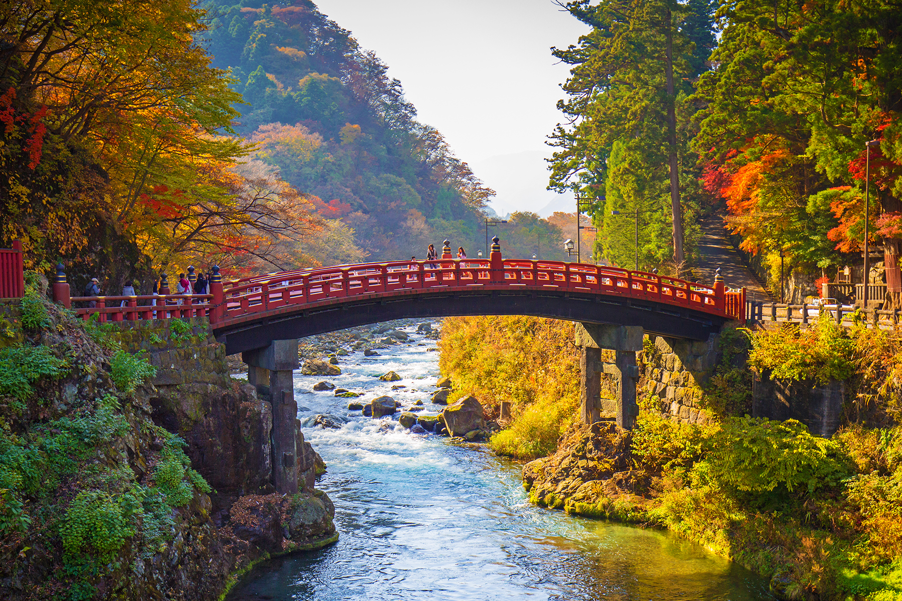 Autumn leaf season in Japan