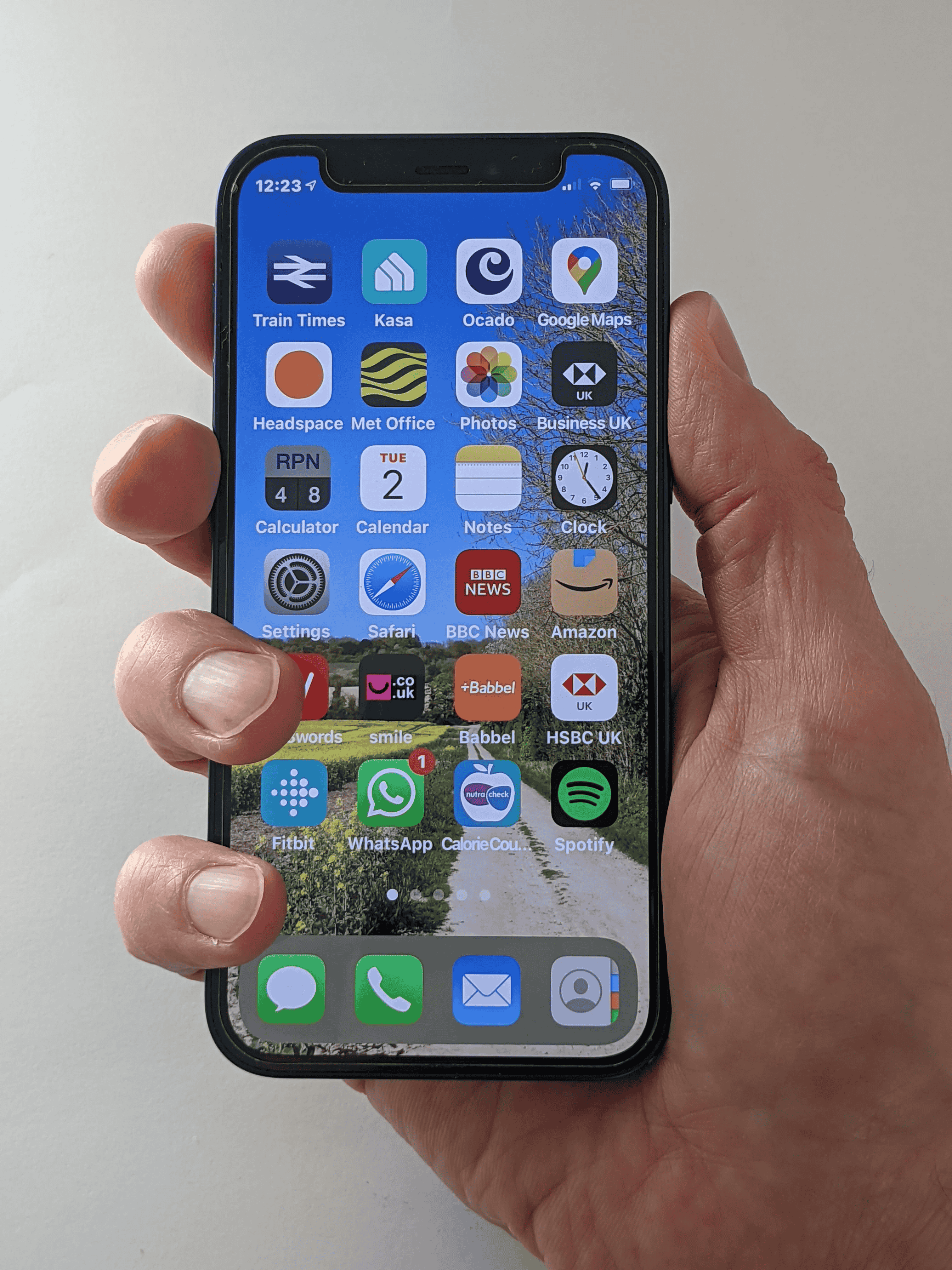 iPhone 12 mini in the hand