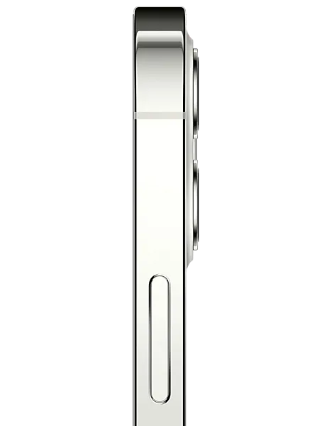iPhone 12 Pro back