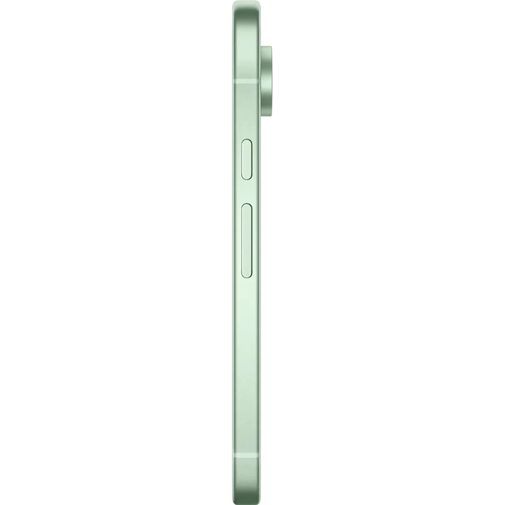 Google Pixel 9 wintergreen side