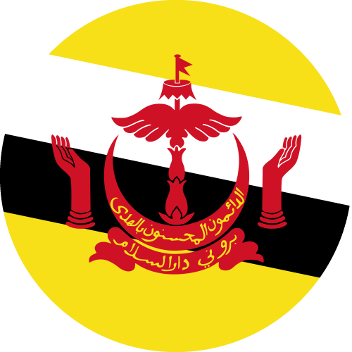 1765550024_brunei-flag.png