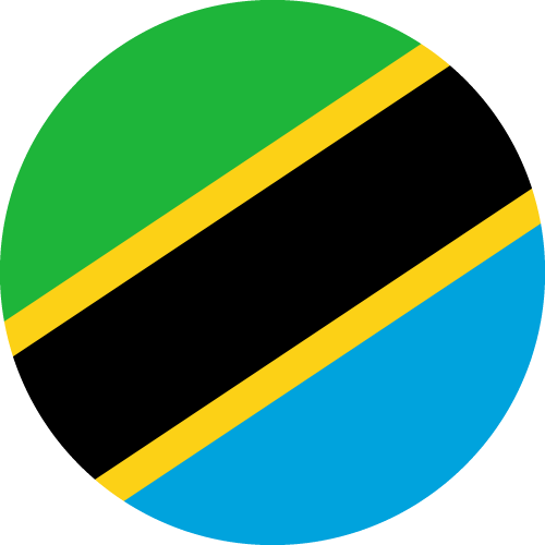 1765553253_tanzania-flag.png