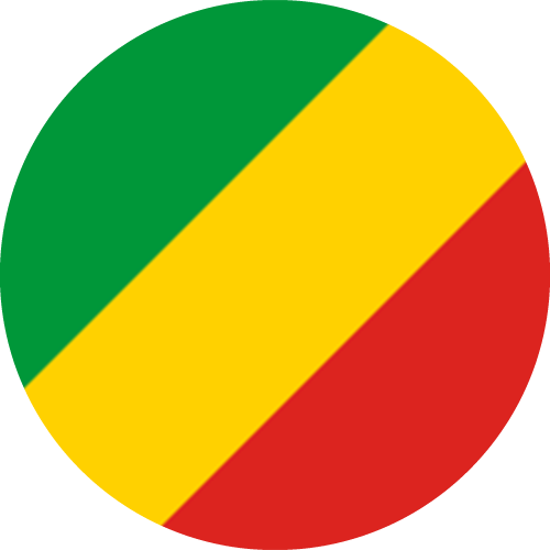 1765553556_republic-of-congo-flag.png