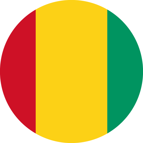 1765556467_guinea-flag.png