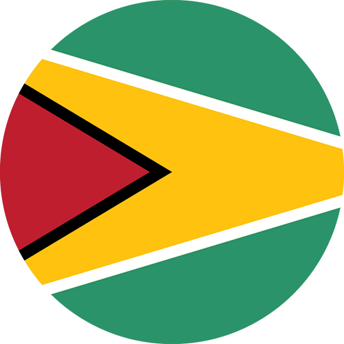 1765557687_guyana-flag.png