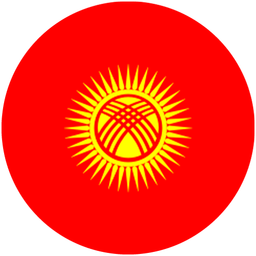 1767869182_Kyrgyzstan_flag.png
