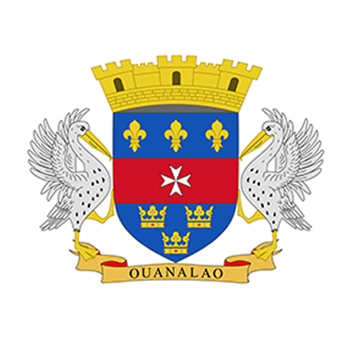 1774955403_saint_barthélemy_flag.png