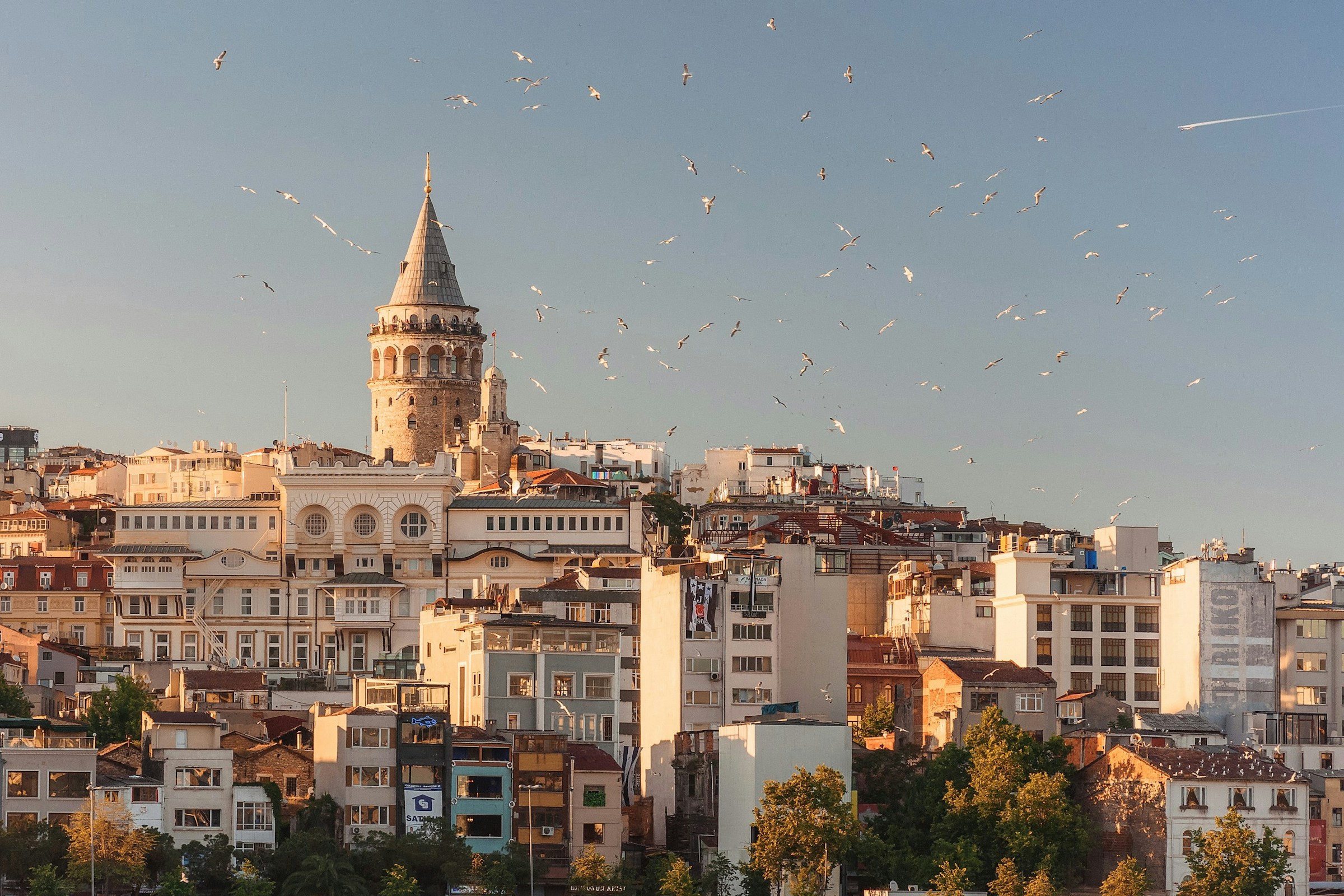 Turkey holiday image for mozillion